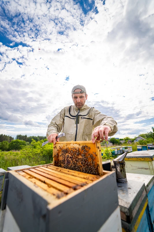 optimized-image-1 - 2026-03-27T154957.764